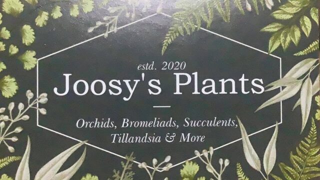 Joosy’s Plants