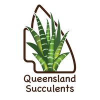 Queensland Succulents