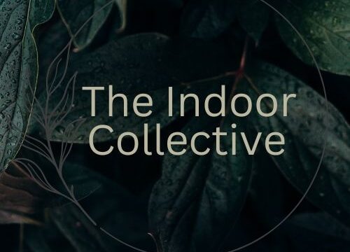 The Indoor Collective