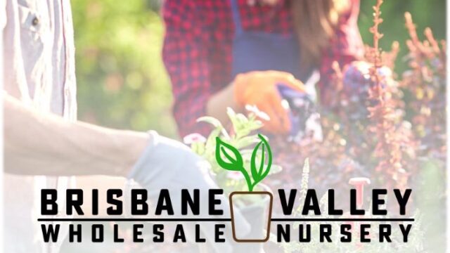 Brisbane Valley Wholesale Nursery